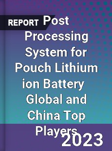 Post Processing System for Pouch Lithium ion Battery Global and China Top Players Market