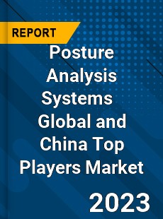 Posture Analysis Systems Global and China Top Players Market