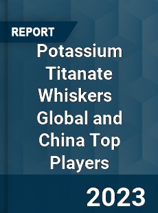 Potassium Titanate Whiskers Global and China Top Players Market