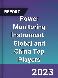 Power Monitoring Instrument Global and China Top Players Market