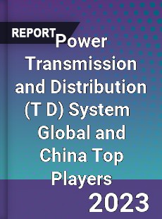 Power Transmission and Distribution System Global and China Top Players Market