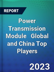 Power Transmission Module Global and China Top Players Market