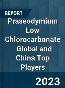 Praseodymium Low Chlorocarbonate Global and China Top Players Market