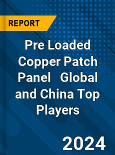 Pre Loaded Copper Patch Panel Global and China Top Players Market