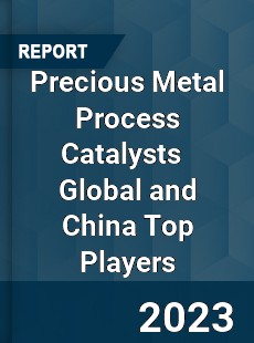 Precious Metal Process Catalysts Global and China Top Players Market