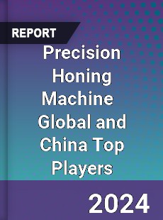 Precision Honing Machine Global and China Top Players Market