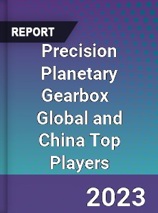 Precision Planetary Gearbox Global and China Top Players Market