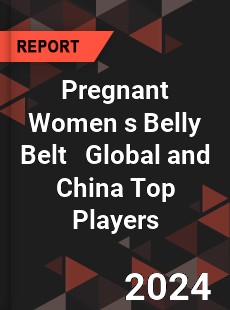 Pregnant Women s Belly Belt Global and China Top Players Market