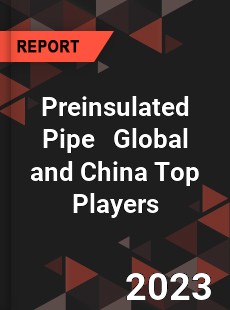 Preinsulated Pipe Global and China Top Players Market