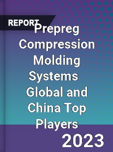 Prepreg Compression Molding Systems Global and China Top Players Market