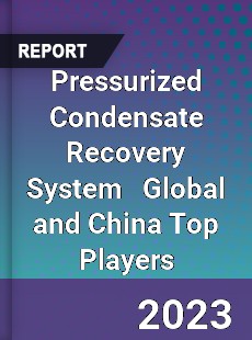 Pressurized Condensate Recovery System Global and China Top Players Market