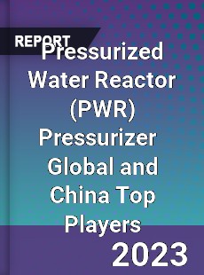 Pressurized Water Reactor Pressurizer Global and China Top Players Market