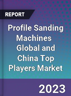 Profile Sanding Machines Global and China Top Players Market