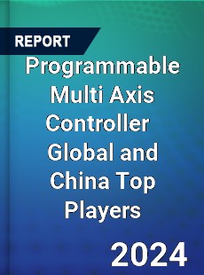 Programmable Multi Axis Controller Global and China Top Players Market