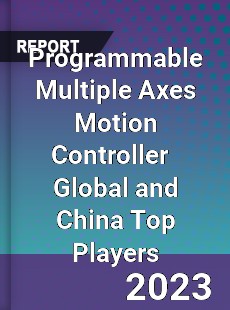 Programmable Multiple Axes Motion Controller Global and China Top Players Market