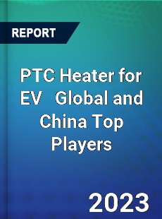 PTC Heater for EV Global and China Top Players Market