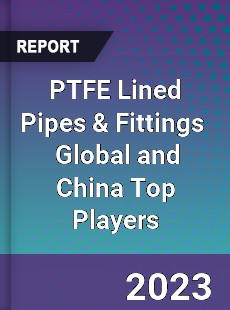 PTFE Lined Pipes amp Fittings Global and China Top Players Market