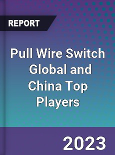 Pull Wire Switch Global and China Top Players Market