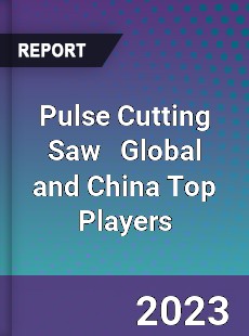 Pulse Cutting Saw Global and China Top Players Market