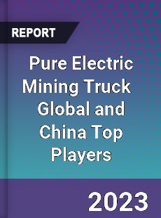 Pure Electric Mining Truck Global and China Top Players Market