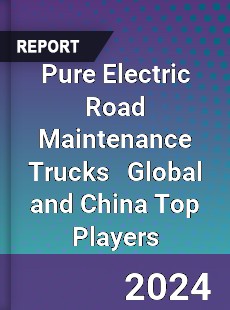 Pure Electric Road Maintenance Trucks Global and China Top Players Market