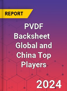 PVDF Backsheet Global and China Top Players Market