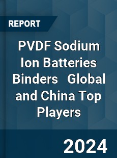 PVDF Sodium Ion Batteries Binders Global and China Top Players Market