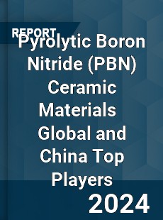 Pyrolytic Boron Nitride Ceramic Materials Global and China Top Players Market