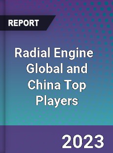 Radial Engine Global and China Top Players Market