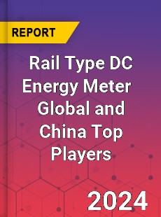 Rail Type DC Energy Meter Global and China Top Players Market