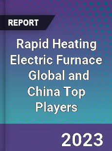 Rapid Heating Electric Furnace Global and China Top Players Market