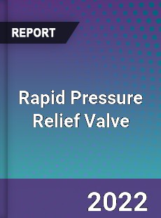 Rapid Pressure Relief Valve Market