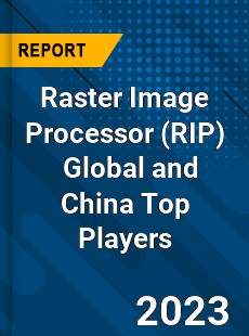 Raster Image Processor Global and China Top Players Market