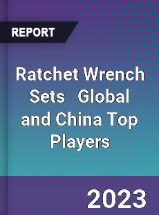 Ratchet Wrench Sets Global and China Top Players Market