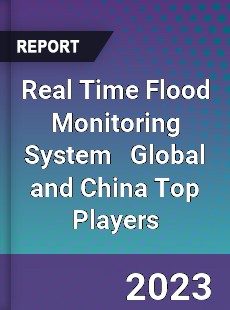 Real Time Flood Monitoring System Global and China Top Players Market