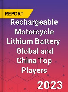 Rechargeable Motorcycle Lithium Battery Global and China Top Players Market