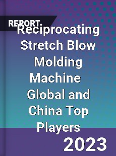 Reciprocating Stretch Blow Molding Machine Global and China Top Players Market