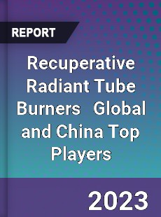 Recuperative Radiant Tube Burners Global and China Top Players Market