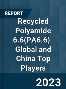 Recycled Polyamide 6 6 Global and China Top Players Market