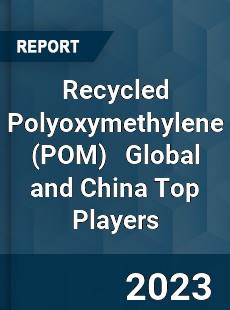 Recycled Polyoxymethylene Global and China Top Players Market