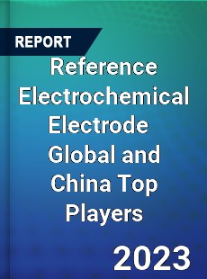 Reference Electrochemical Electrode Global and China Top Players Market