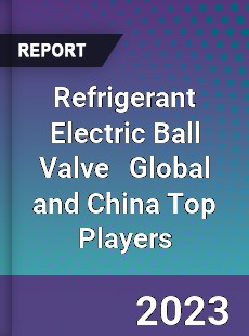 Refrigerant Electric Ball Valve Global and China Top Players Market