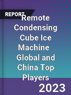 Remote Condensing Cube Ice Machine Global and China Top Players Market