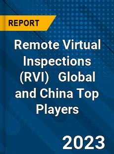 Remote Virtual Inspections Global and China Top Players Market