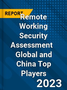 Remote Working Security Assessment Global and China Top Players Market