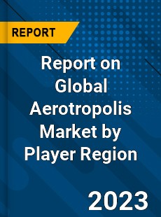 Report on Global Aerotropolis Market by Player Region