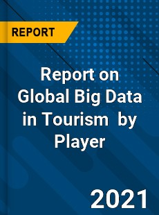 Report on Global Big Data in Tourism Market by Player