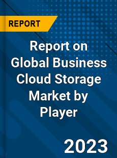 Report on Global Business Cloud Storage Market by Player