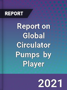 Report on Global Circulator Pumps Market by Player