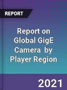 GigE Camera Market Opportunities Challenges Strategies & Forecasts